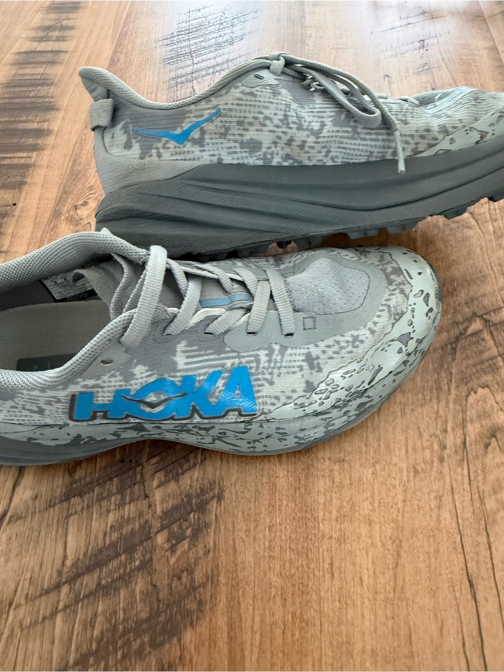 Hoka One One Kids Gray Sneakers with Blue Logo